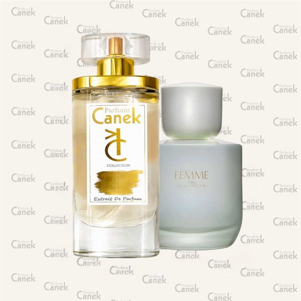 Style Zara Femme